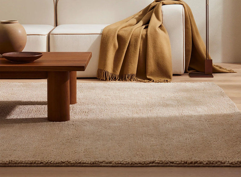 Floor Rugs NZ Large Selection of Contemporary Rugs See a Sample