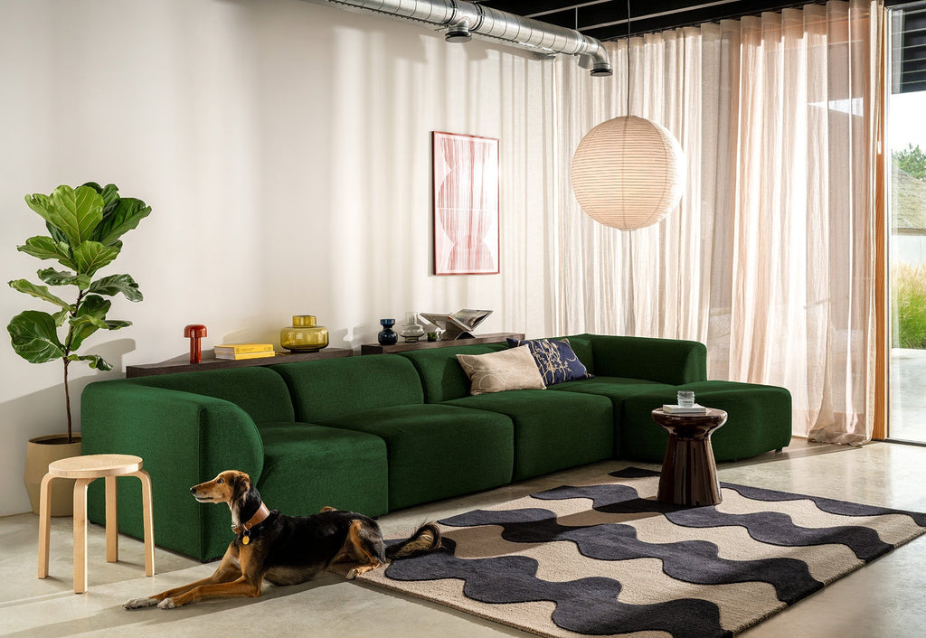 Modern living room with a green sectional sofa, dog, and featuring a Marimekko NZ wool Rug with black wavy pattern 