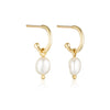 A pair of gold plated hoop earrings with a freshwater pearl drop. 