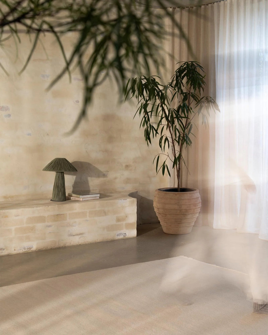 Weave Home Jacqueline wool rug in Cashew in a room with a limewashed brick bench and a potted tree
