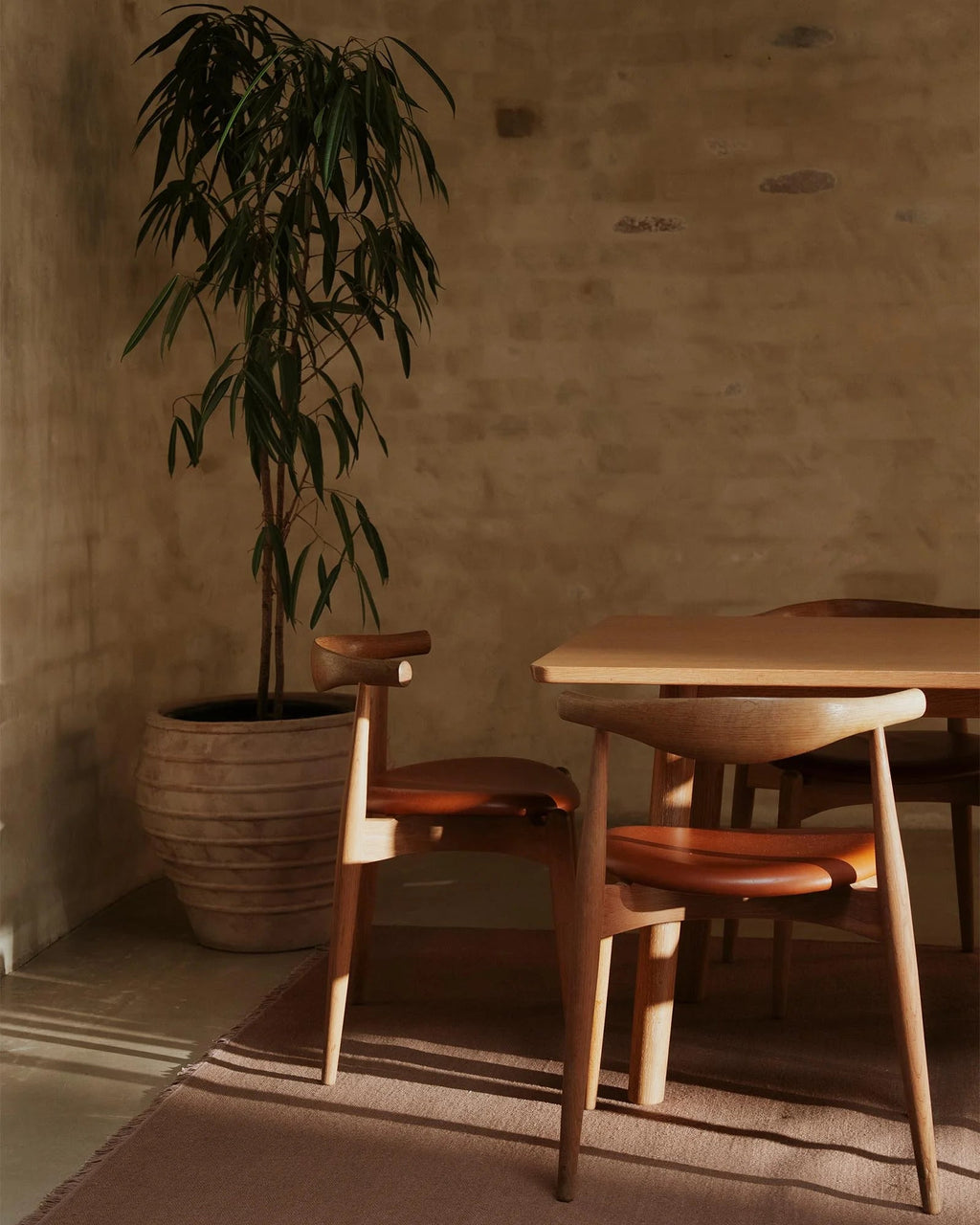 Weave Home Jacqueline wool rug in Rosewood in a sunlit room with a potted tree and timber chairs