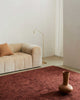 A contemporary living room featuring an earthy red, textural floor rug